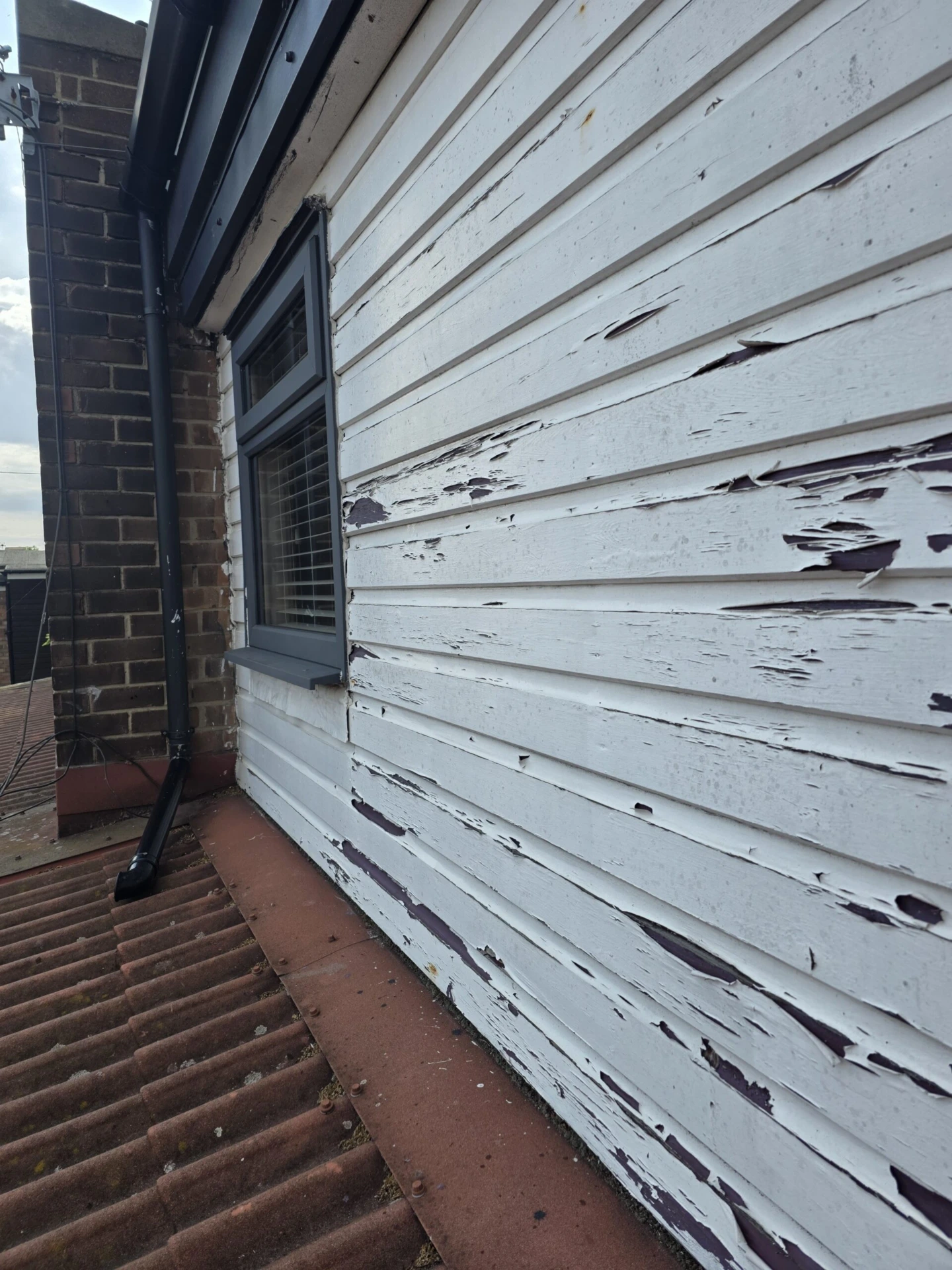 Replacement of Wooden Cladding with Anthracite Grey Composite Panels — before work started photograph